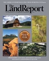 The Land Report Newsletter - article image