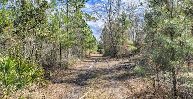Old Hortense Rd Tract 1 thumbnail image