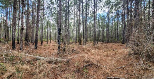 Old Hortense Rd Tract 1 thumbnail image