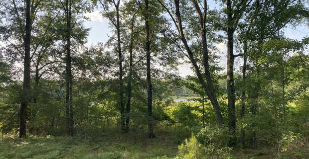 Private Mini Hunting Homesite thumbnail image