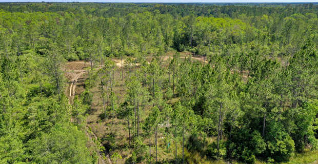 29.4 Acres 6240 Old Jesup Rd, Glynn County, GA thumbnail image