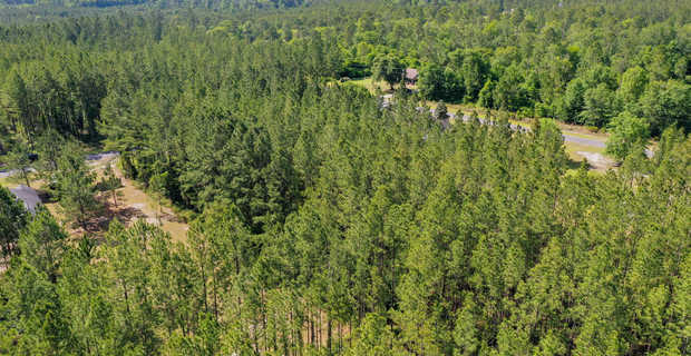 1 Acre Lot, Brantley County, Waynesville, GA thumbnail image
