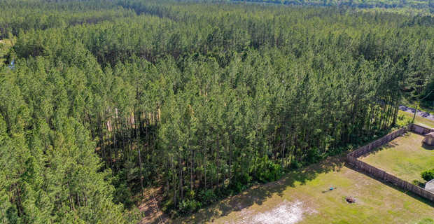 1 Acre Lot, Brantley County, Waynesville, GA thumbnail image