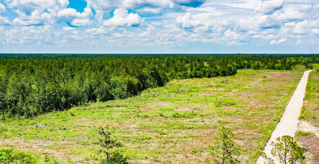 15 Acre Homesite thumbnail image