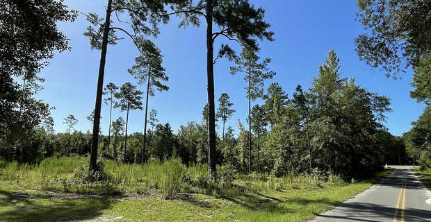 27.063 Acres on River Rd in Gardi thumbnail image