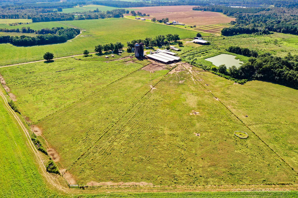 96 Acre Cattle Farm in Pierce County, GA main image