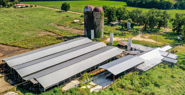 96 Acre Cattle Farm in Pierce County, GA thumbnail image