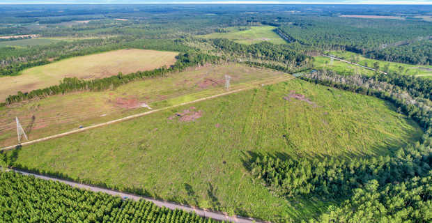 100 acres in Odum, GA thumbnail image