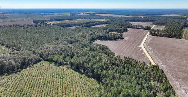 98 Acre Country Paradise in Jeff Davis / Bacon Co, GA thumbnail image