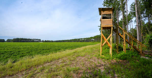 85 acre Farmland and Timber Tract thumbnail image