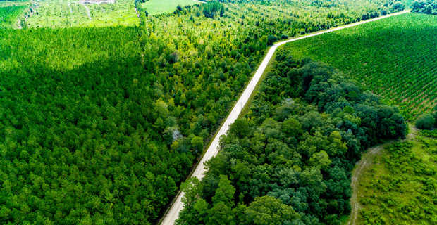 3.5 +/- Acres Holland Cemetery Rd Tract thumbnail image