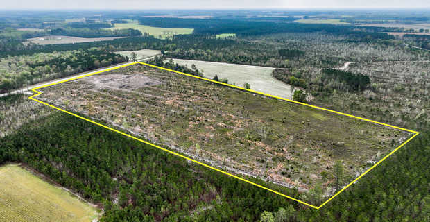 28.83 Acres - Blackshear Highway thumbnail image