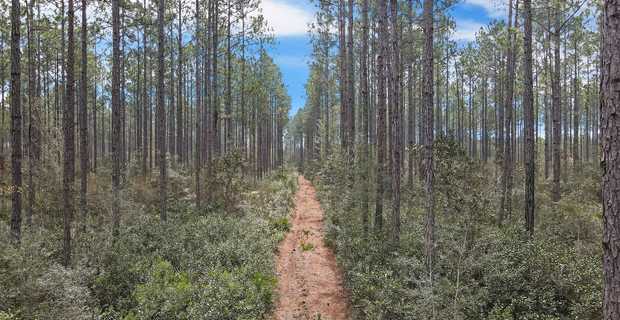 Shop Road Timbers thumbnail image