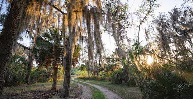 Private Island on the Georgia Coast thumbnail image