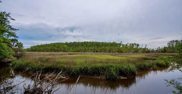 St Andrews on Turtle River thumbnail image