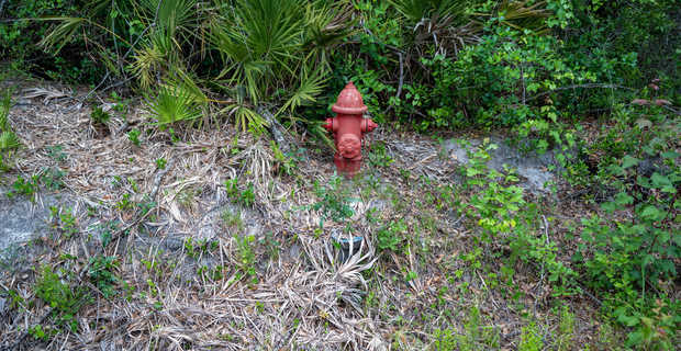 Tract 4 - 0.84 Acre Lot in Jesup thumbnail image