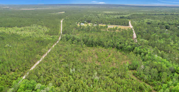 18.89 Acres on Mulberry Rd in Hoboken, GA thumbnail image