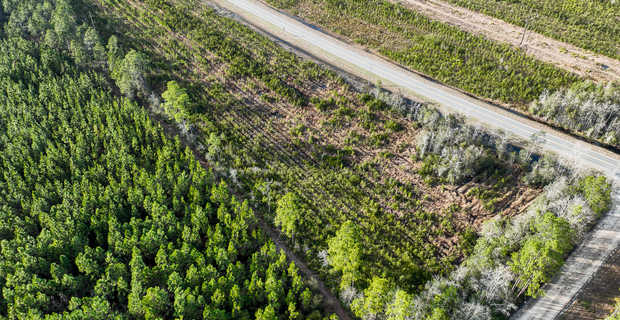 Tract 1 - 3.84 Acres - Hwy 32 in Brantley thumbnail image