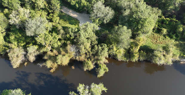 14.09 Acres - Ohoopee River Tract thumbnail image