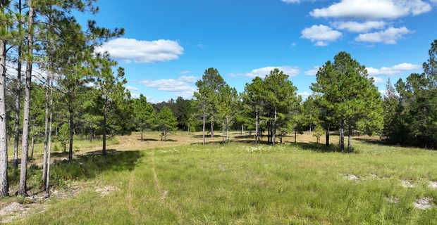 Lotts Creek Farm thumbnail image