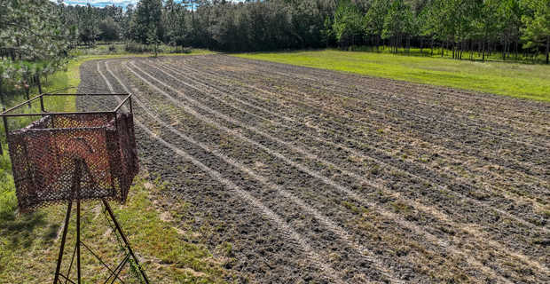 Lotts Creek Farm thumbnail image