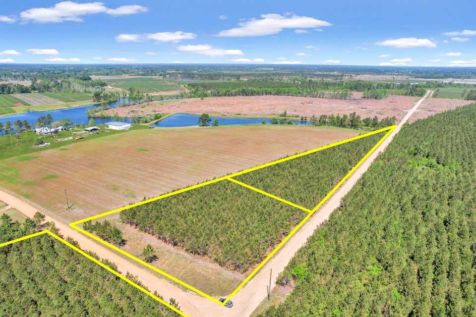 Tract 1 in Sanderling Road in Bacon County main image