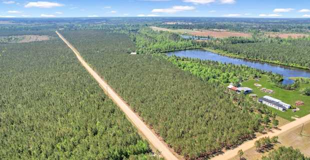 Tract 3 in Ocelot Road in Bacon County thumbnail image