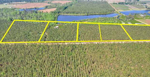 Tract 7 in Sanderling Road in Bacon County thumbnail image