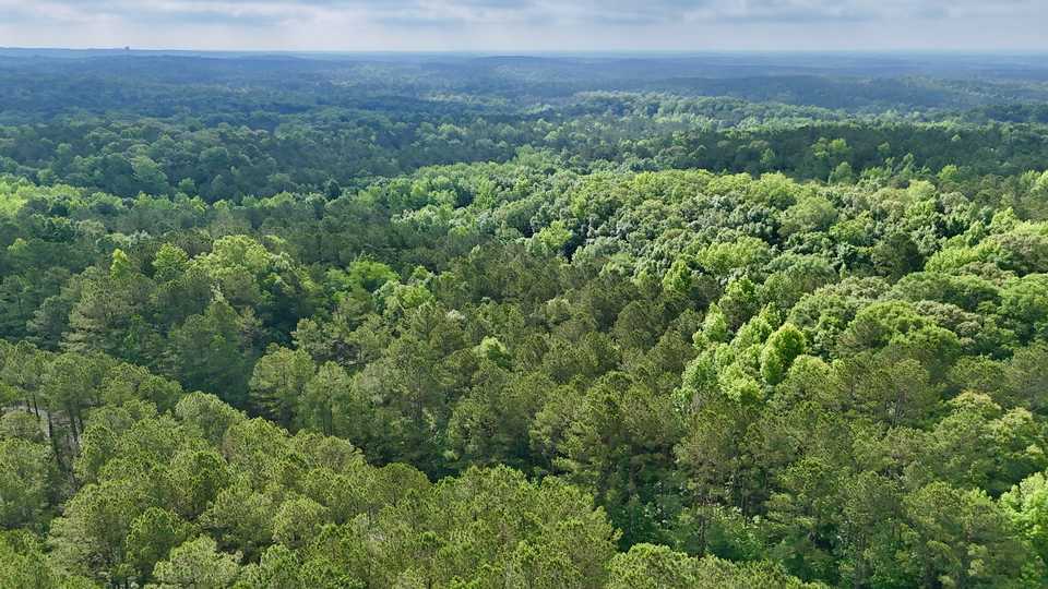 Cherokee Pass on Dennis Creek Rd - Possible Owner Finacing main image