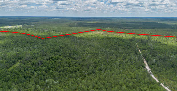 527 +/- Acres - Collins Rd Nicholls thumbnail image
