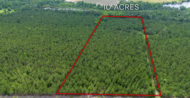 Tract 12 in Sanderling Road in Bacon County thumbnail image