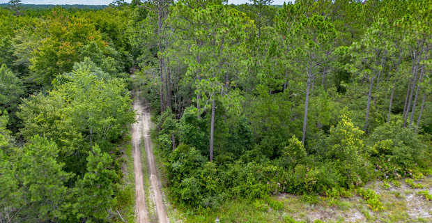 Tract 1 - 13.77 +/- Acres - Sunset Blvd thumbnail image