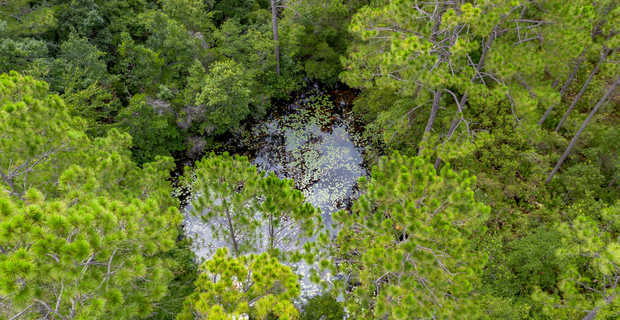 Tract 1 - 13.77 +/- Acres - Sunset Blvd thumbnail image