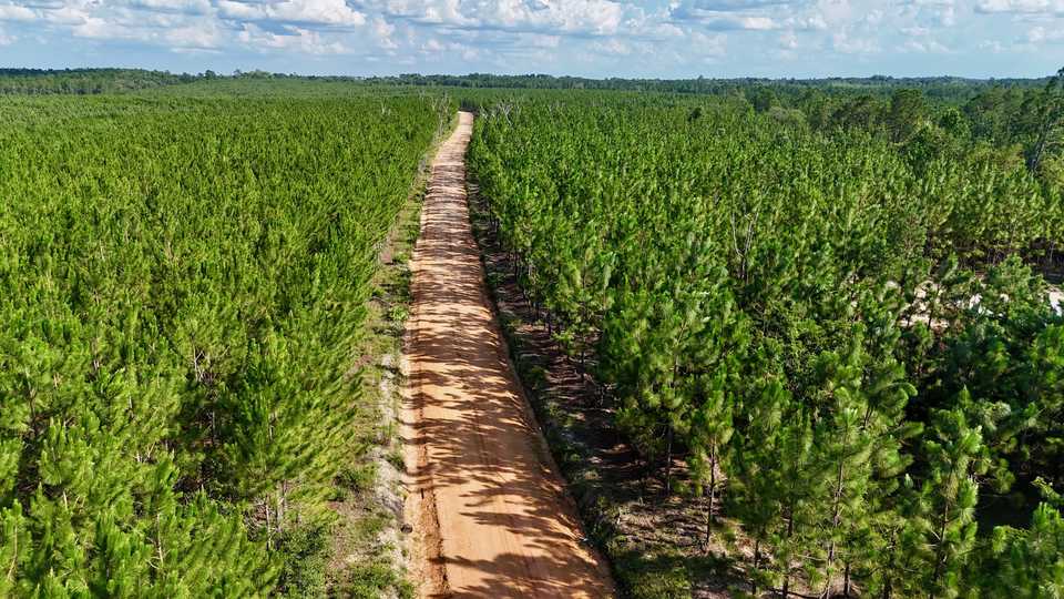 2± Acres on Penny Morris Rd main image