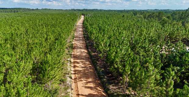 7± Acres on Penny Morris Rd. thumbnail image