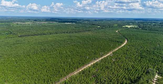 7± Acres on Penny Morris Rd. thumbnail image