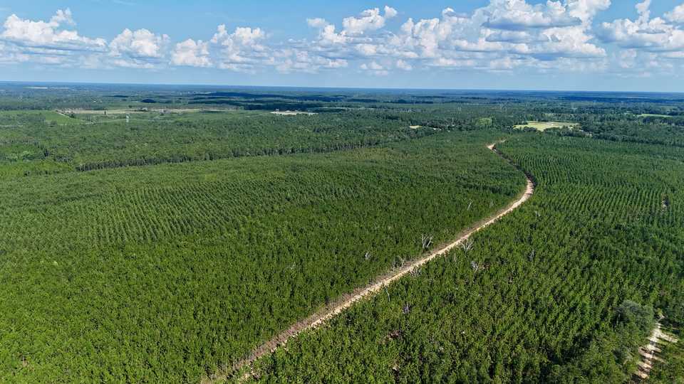 7± Acres on Penny Morris Rd. main image