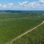 7± Acres on Penny Morris Rd. image