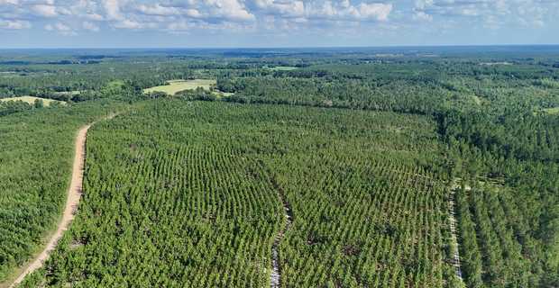 7± Acres on Penny Morris Rd. thumbnail image