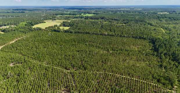 7± Acres on Penny Morris Rd. thumbnail image