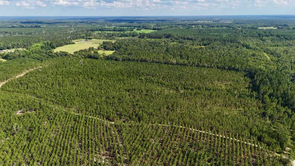 6± Acres on Penny Morris Rd. main image