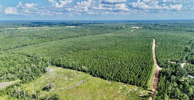 33± Acres - Penny Morris Rd. thumbnail image