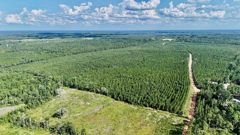 33± Acres - Penny Morris Rd. main image