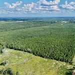 33± Acres - Penny Morris Rd. image