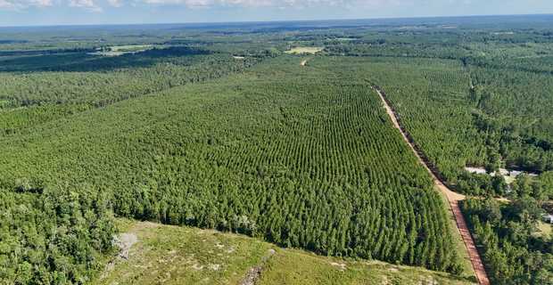 33± Acres - Penny Morris Rd. thumbnail image