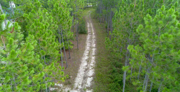10.8 Acres Piney Bluff Lakefront Land thumbnail image