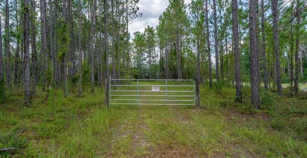 10.8 Acres Piney Bluff Lakefront Land thumbnail image