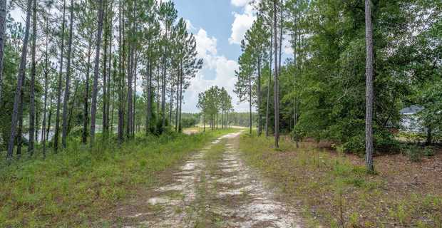 10.8 Acres Piney Bluff Lakefront Land thumbnail image