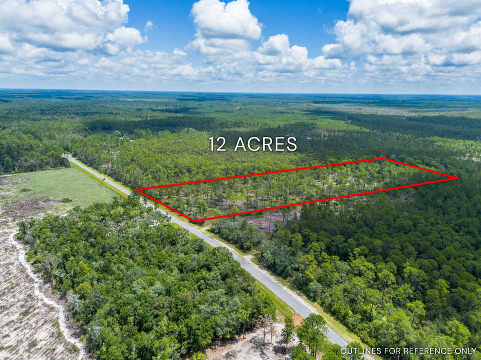 12 Acres with Homesite Potential & Forested Privacy main image