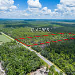 12 Acres with Homesite Potential & Forested Privacy image